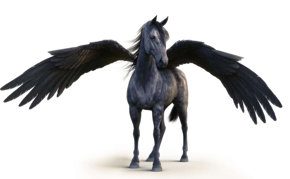 Black Pegasus