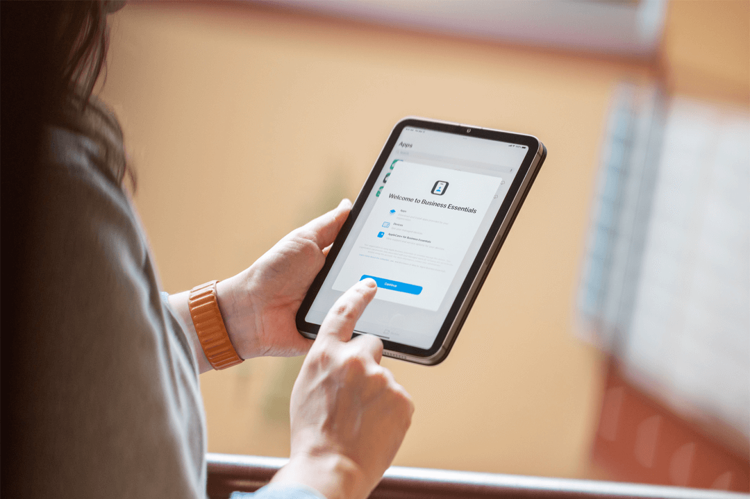 Apple Business Essentials visto desde iPad mini