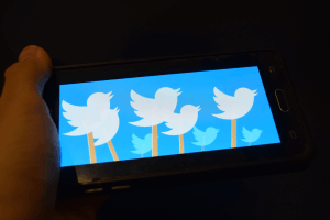 pajaros-Twitter-spantalla-smartphone