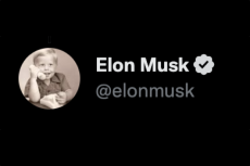 El perfil de Elon Musk con la paloma de verificación en Twitter